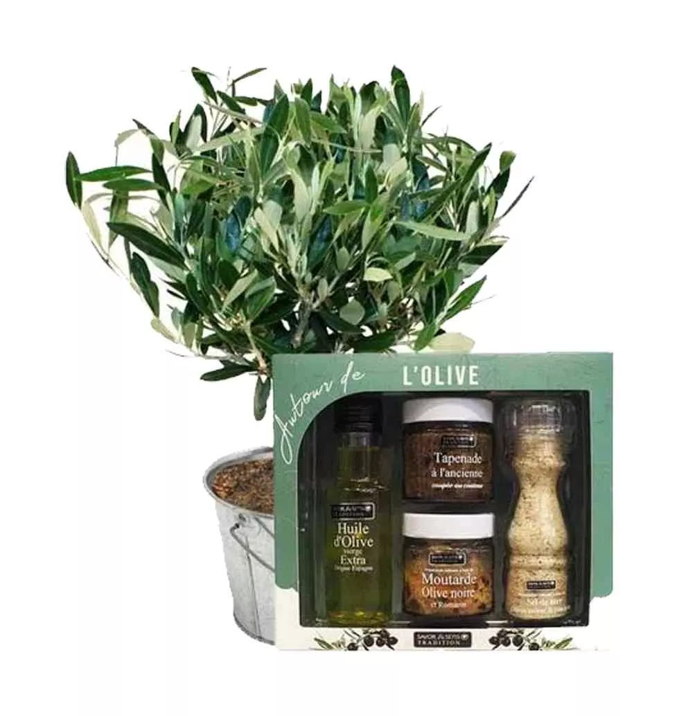 Gift Baskets France Send Online Gift Baskets to France Low Costs